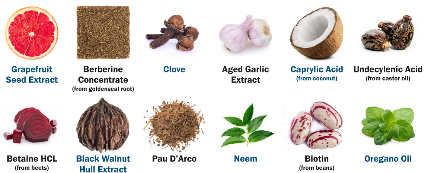 rmv-ingredients-icons-horizontal-optimized