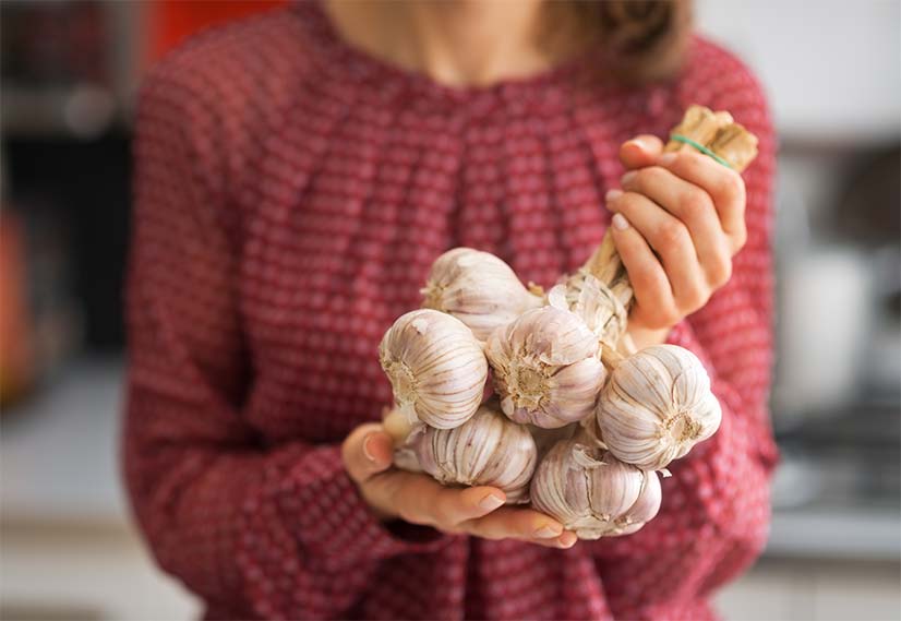 garlic