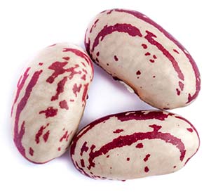 beans-optimized