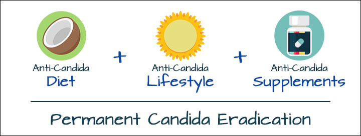 canxida-crusher-framework