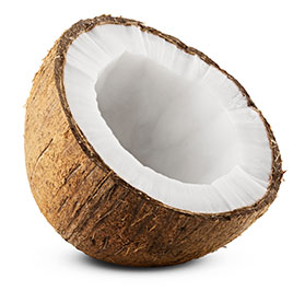 coconut