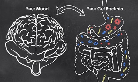 gut-brain-connection